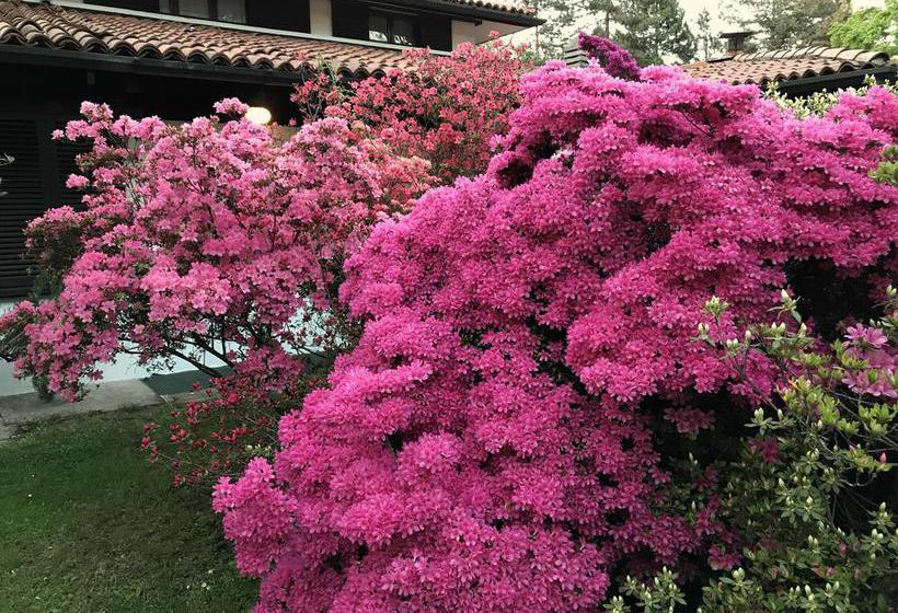 住宿加早餐  Il Giardino Dei Sogni