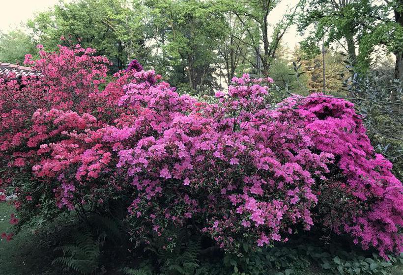 住宿加早餐  Il Giardino Dei Sogni