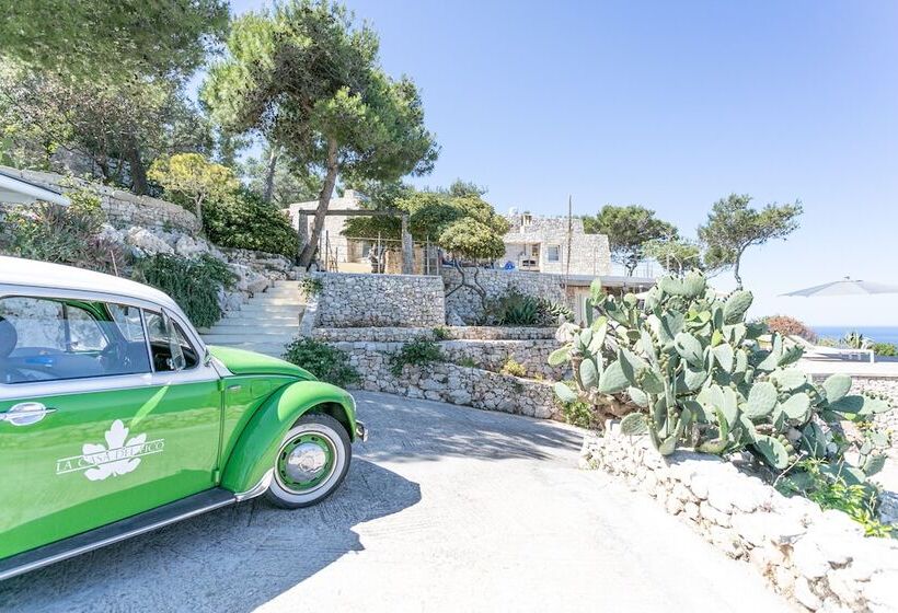 مبيت وإفطار La Casa Del Fico