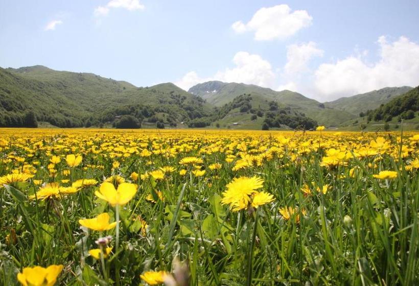 Bed and Breakfast La Pinetina