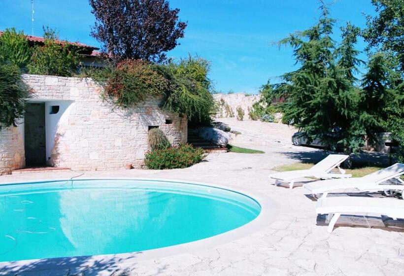 تختخواب و صبحانه Maglioferro Residence