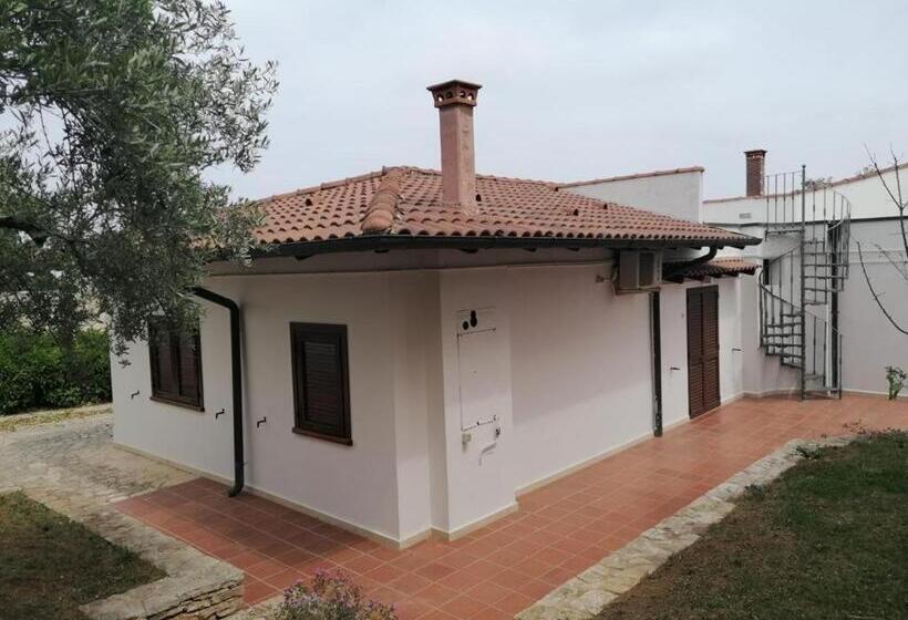 تختخواب و صبحانه Maglioferro Residence