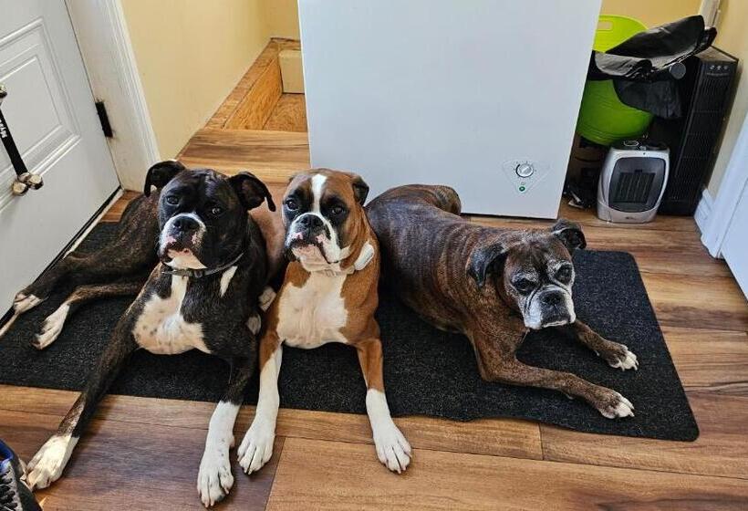 민박 Small Town Bound Inn