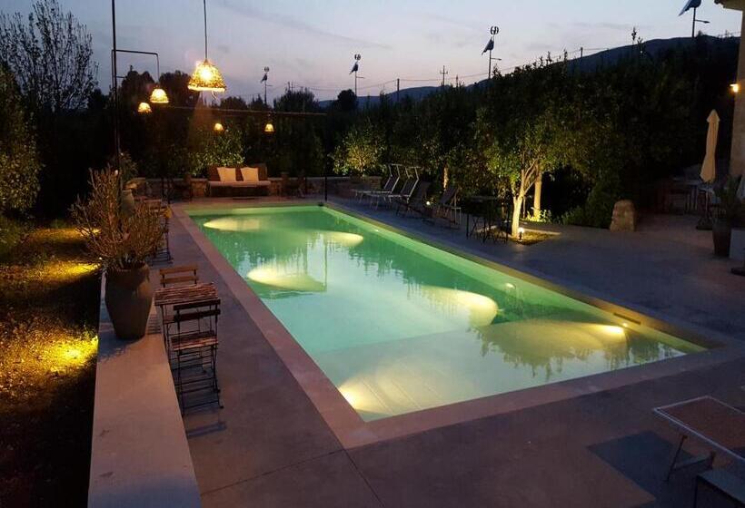 Bed and Breakfast Tenuta Don Paolino