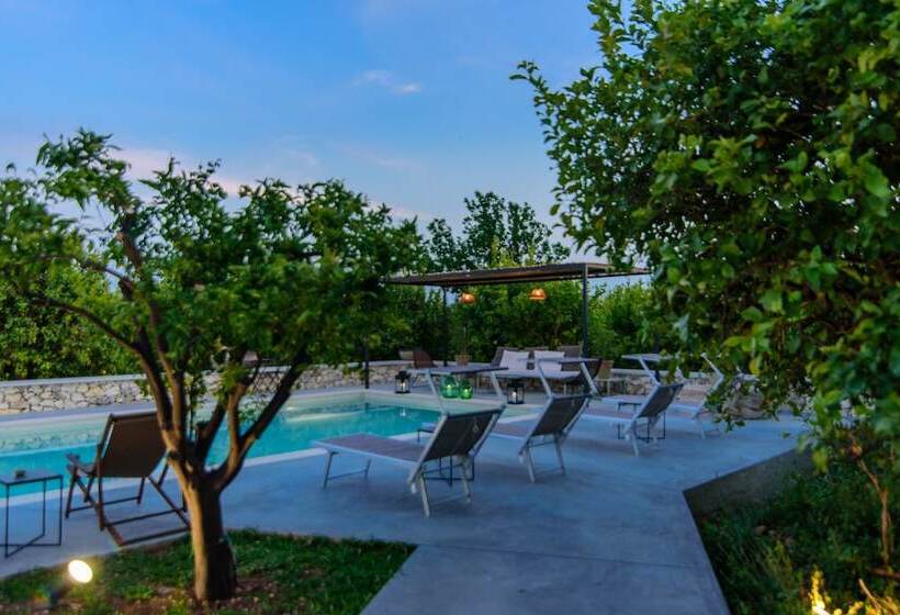 Bed and Breakfast Tenuta Don Paolino