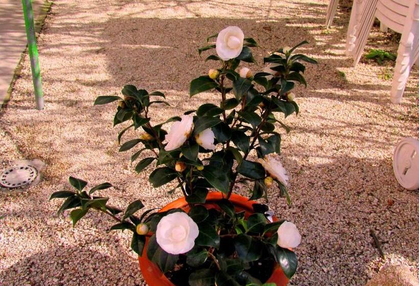 Villa Maria Bed & Breakfast, Corridonia, Marche