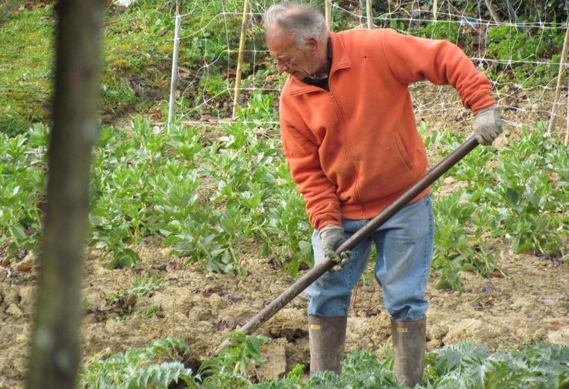 Villa Maria Bed & Breakfast, Corridonia, Marche