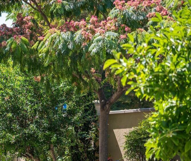 ベッドアンドブレックファースト Villa Mery