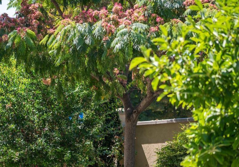 ベッドアンドブレックファースト Villa Mery