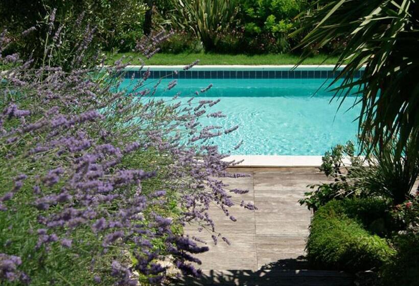 צימר Villarondanella