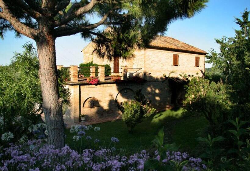 צימר Villarondanella