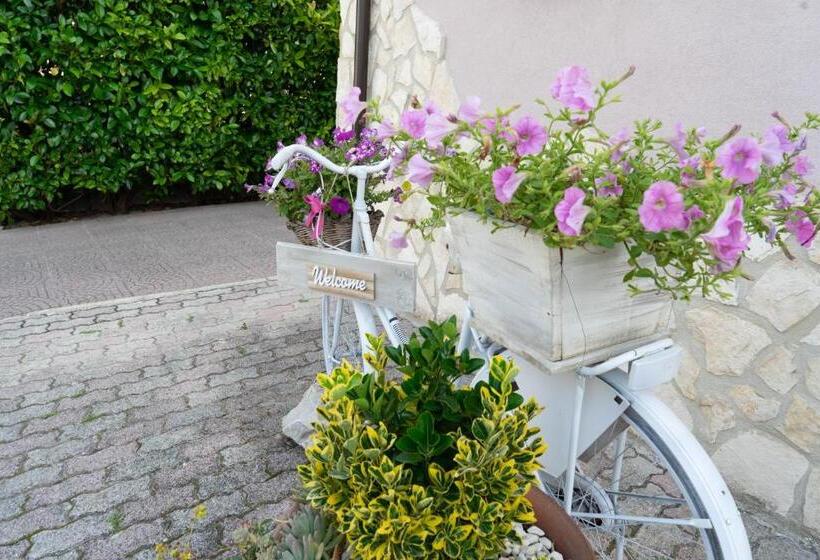 Bed & Breakfast Mafi