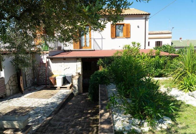 Bed & Breakfast Mafi