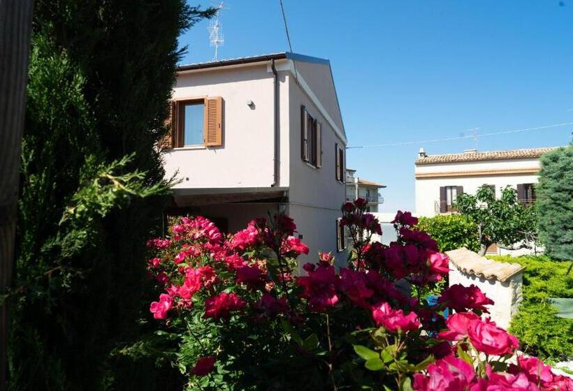 Bed & Breakfast Mafi