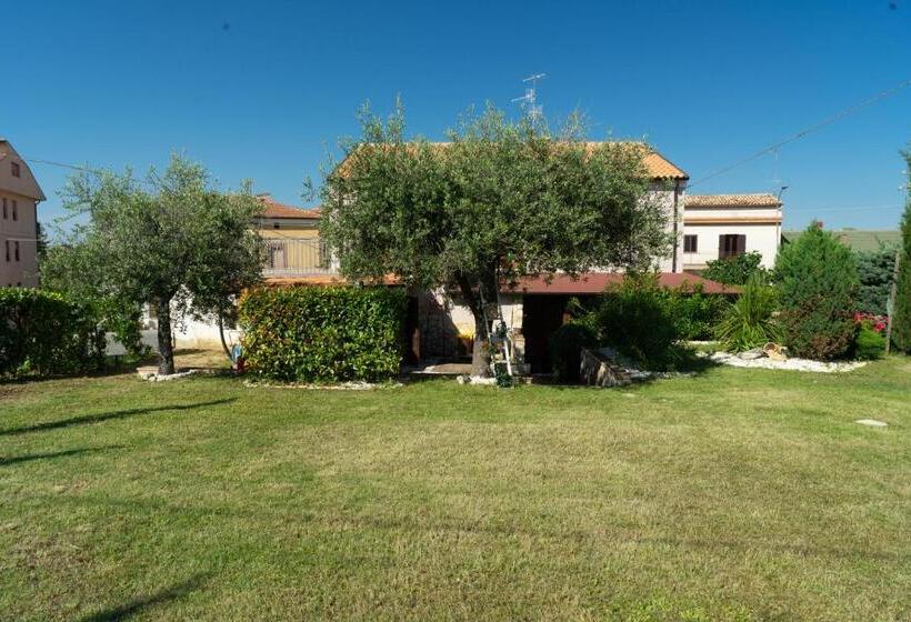 Bed & Breakfast Mafi