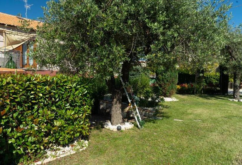 Bed & Breakfast Mafi