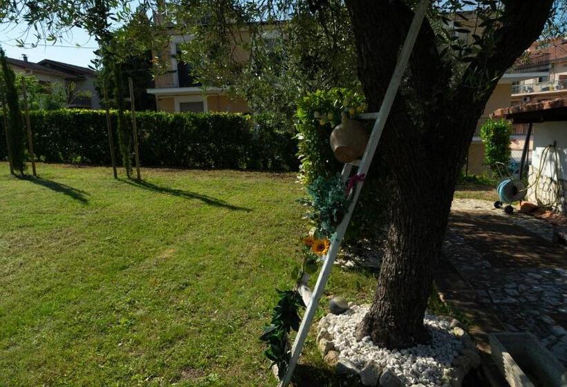 Bed & Breakfast Mafi