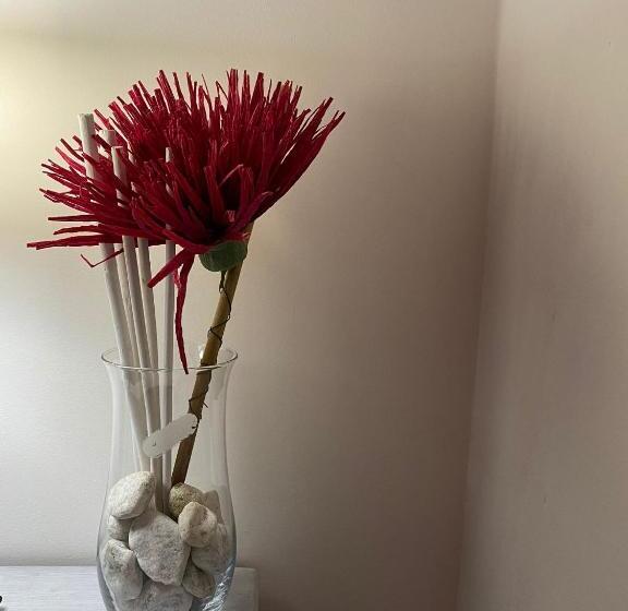 Bed & Breakfast Mafi