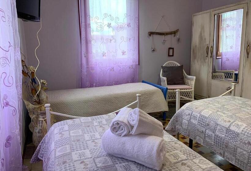 Bed & Breakfast Mafi