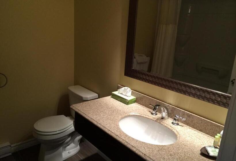 Escarpment Heights Motel