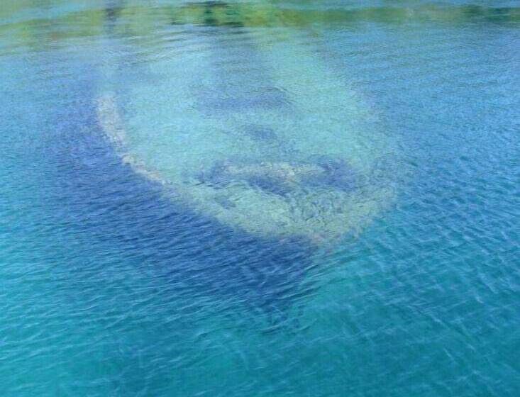 Escarpment Heights Motel