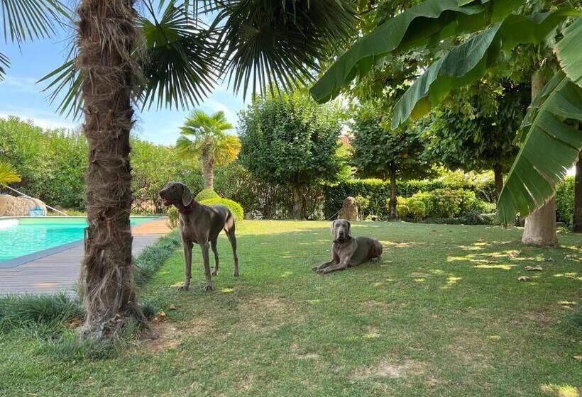 Heidi Bed And Breakfast