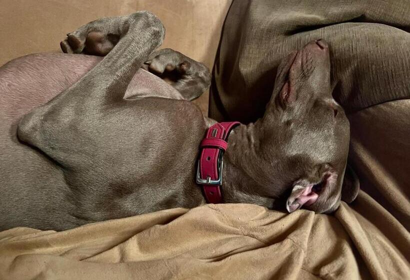 Heidi Bed And Breakfast