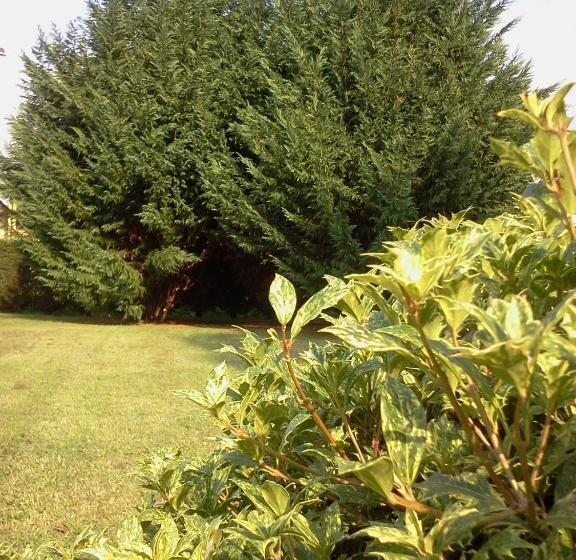 ホテル Albergo Al Portico