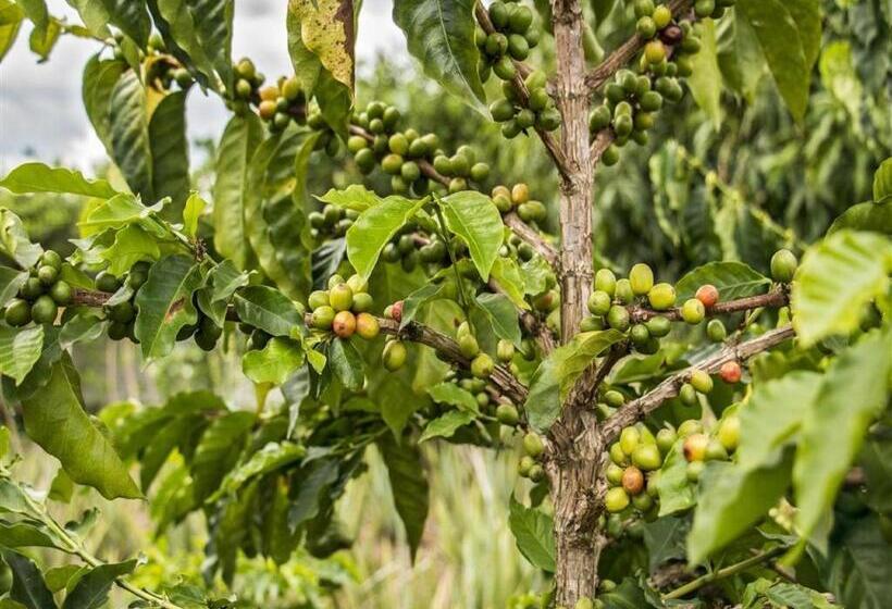 فندق Arrayanes Del Quindío