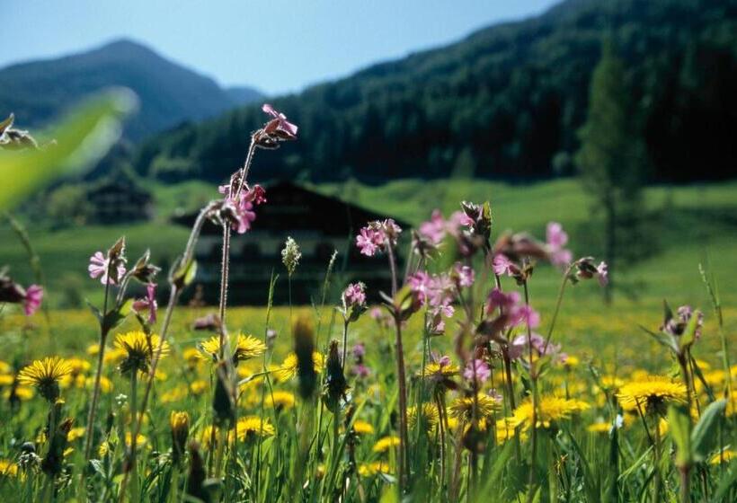 בית מלון כפרי Berg