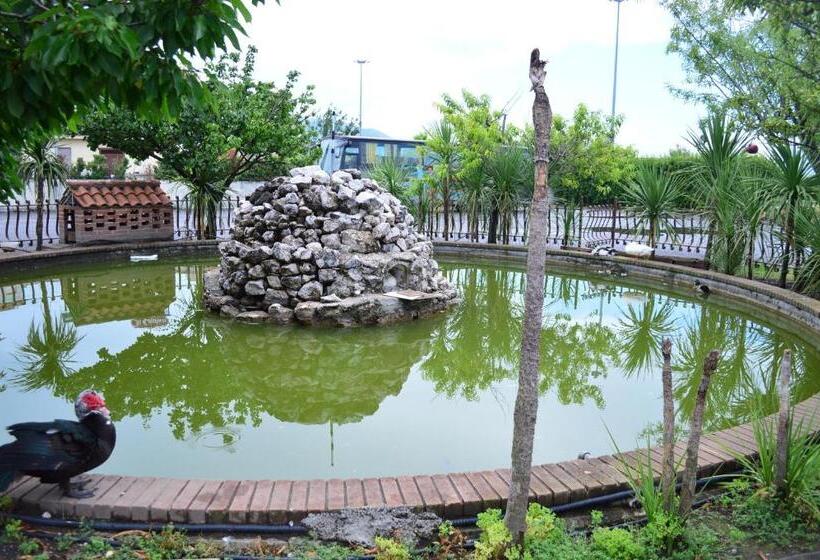 فندق Il Cavaliere