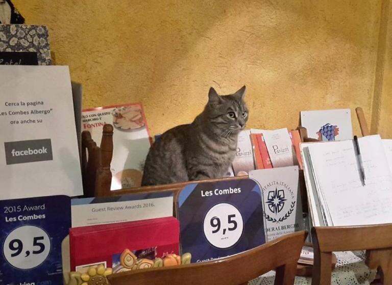 فندق Les Combes