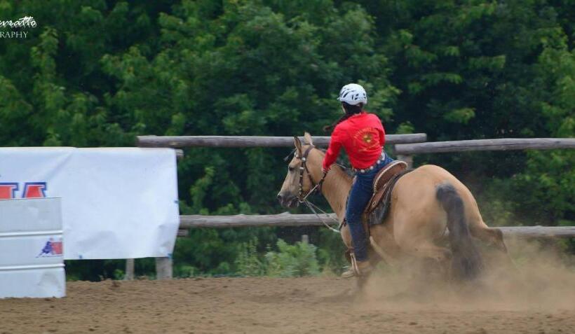 فندق Relais Black Horse