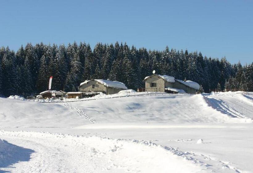 Malga Millegrobbe Nordic Resort