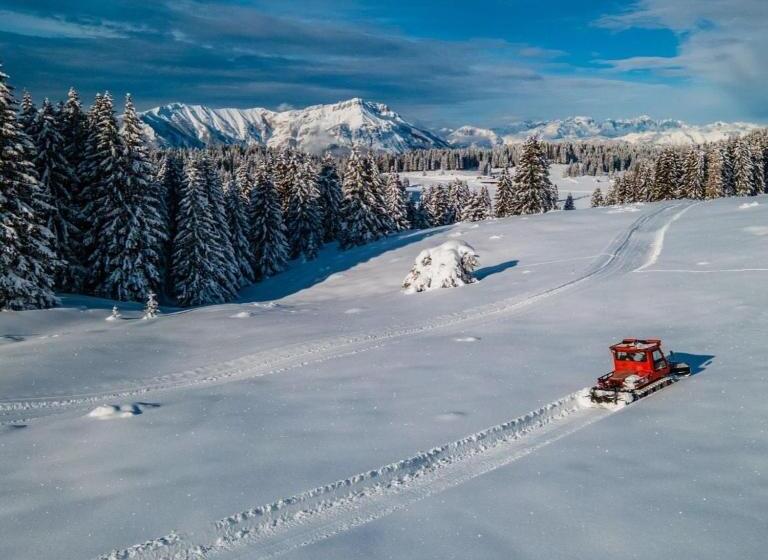 Malga Millegrobbe Nordic Resort