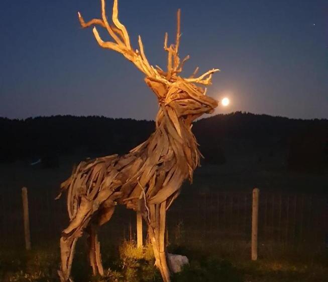 Malga Millegrobbe Nordic Resort