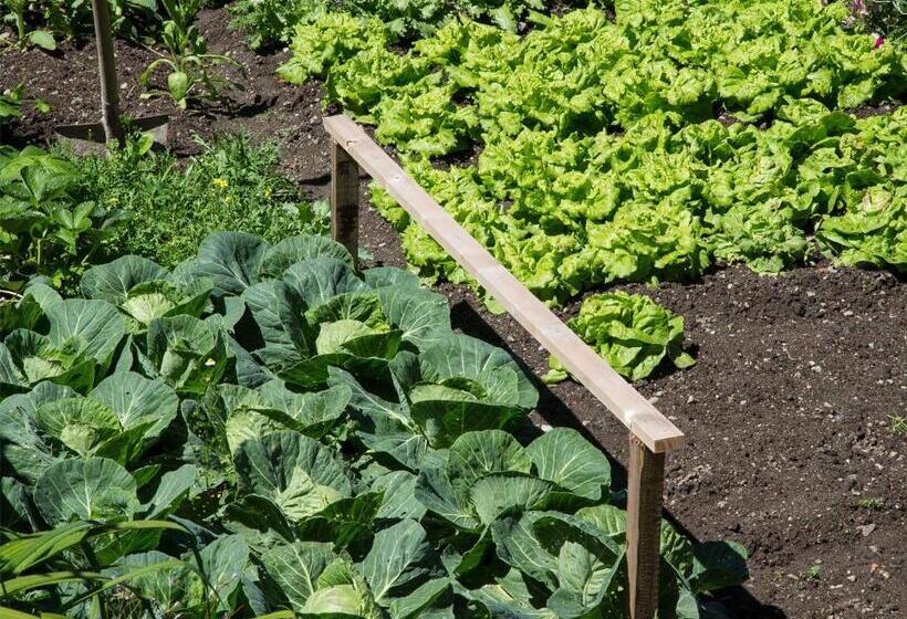 Naturhotel Edelweiss