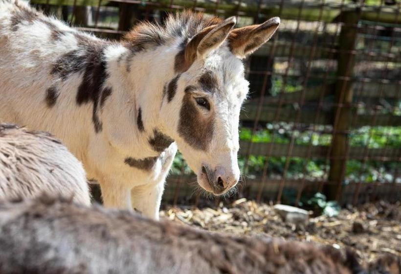 Tenuta Saiano Resort