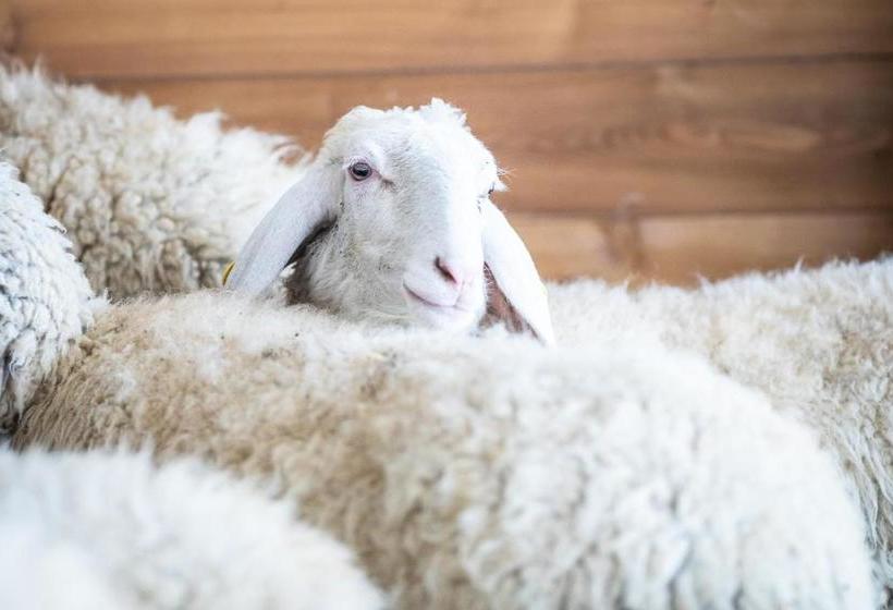 Tenuta Saiano Resort