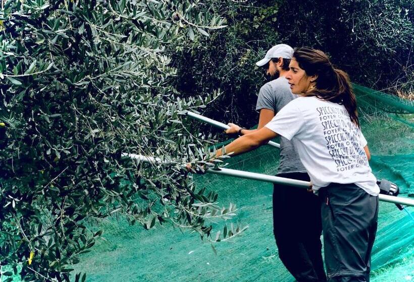 Tenuta Saiano Resort