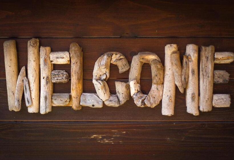 Villa Zenith Hostel La Surf House