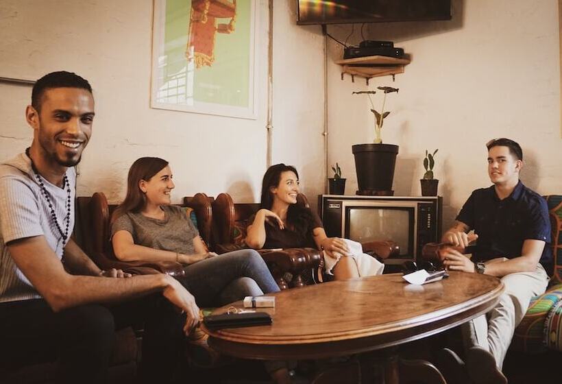 호스텔 Curiocity Backpackers Johannesburg