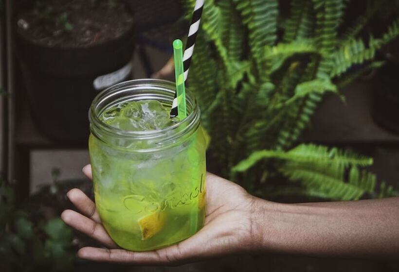 호스텔 Curiocity Backpackers Johannesburg