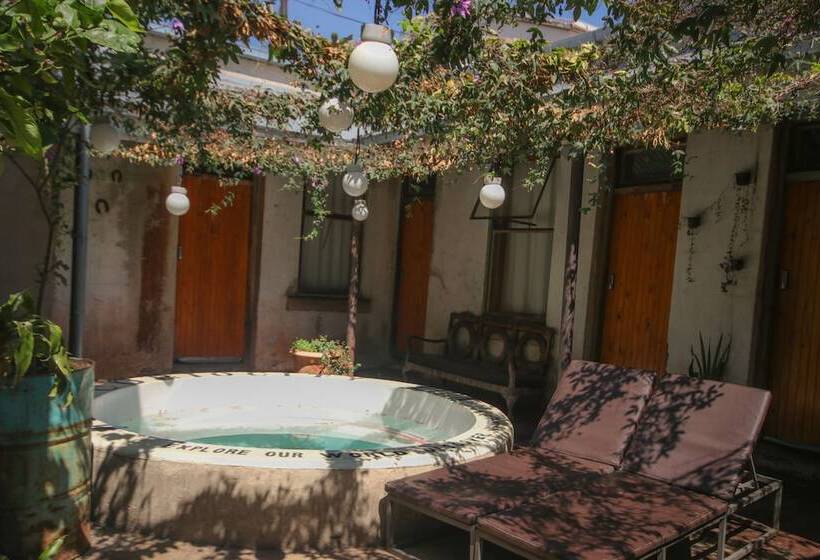 호스텔 Curiocity Backpackers Johannesburg