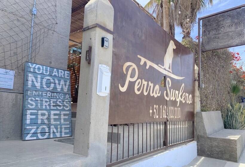 호스텔 Perro Surfero Todos Santos