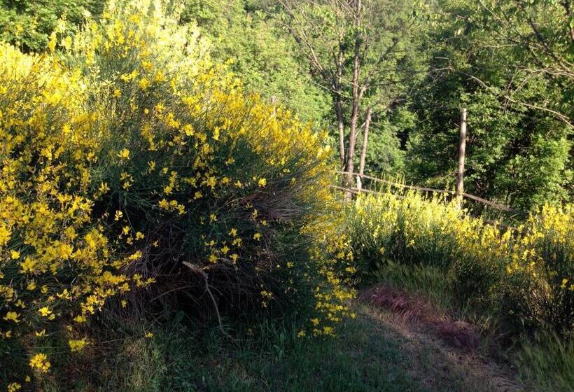 B&b Al Giardino Dei Mandorli