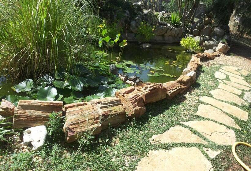 B&b Govinda Shanty House