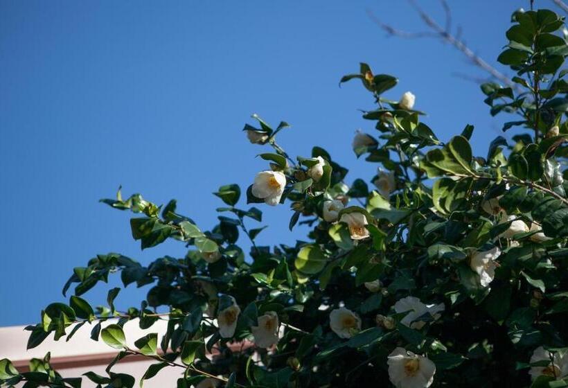 B&b I Corni Di Nibbio