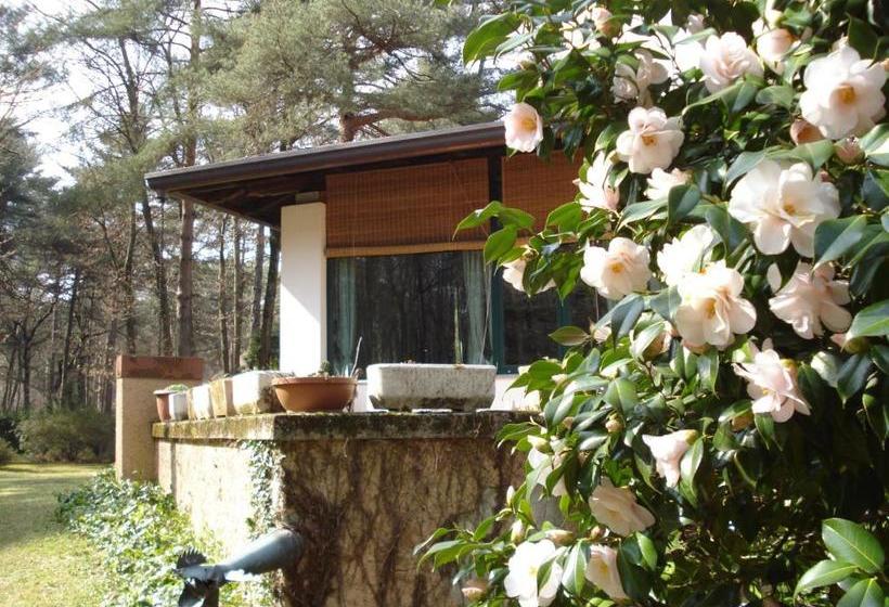 B&b Il Giardino Delle Cince