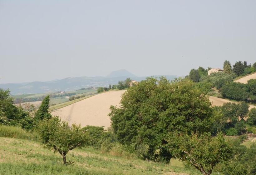 B&b Profumo Delle Marche